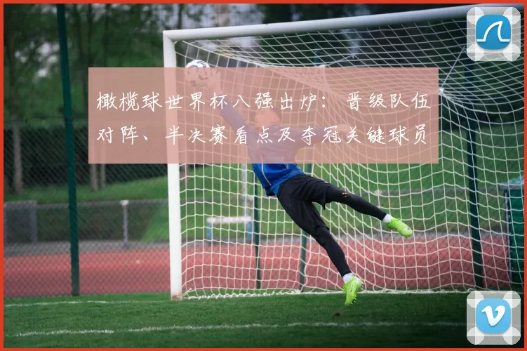 橄榄球世界杯八强出炉：晋级队伍对阵、半决赛看点及夺冠关键球员